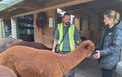 Alpaca, staff member and student stood on the farm