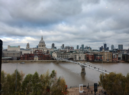 A panoramic view of the London skyline across the Thames River on a heavily overcast day. St. Paul's Cathedral with its distinctive dome dominates the center of the cityscape. The Millennium Bridge, a pedestrian suspension bridge, stretches across the muddy brown river in the middle ground, leading toward the central business district. Autumn trees are visible in the foreground.